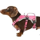 Huntboo Escape Proof Dog Harness, Dachshund Harness, Reflective Dog Harness with Handle, Durable,Adjustable Vest for Small Medium Large Dogs Walking, Training, and Running Gear (Rose red,S)