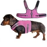Hilspace Mini Dachshund Harness – No Armpit Rub, Escape Proof, Reflective, No Pull Vest-Style Dachshunds Harness,Breathable Mesh Dog Harness (Rose Red, M: Chest 42-52cm (16.5"-20.5"))
