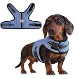 Mini Dachshund Harness Vest, No Pull & No Armpit Rub Dachshund Harness, Escape Proof Adjustable Dog Harness for Walking (Blue, L: Chest 21"-25"/ 53-63cm)
