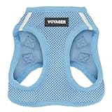 Best Pet Supplies Voyager Step-in Air Harness - All Weather Mesh, Reflective, No Pull Harness for Dogs, Cats - Secure with Hook & Loop Fastener, Buckle, Double D-Rings - Baby Blue, M